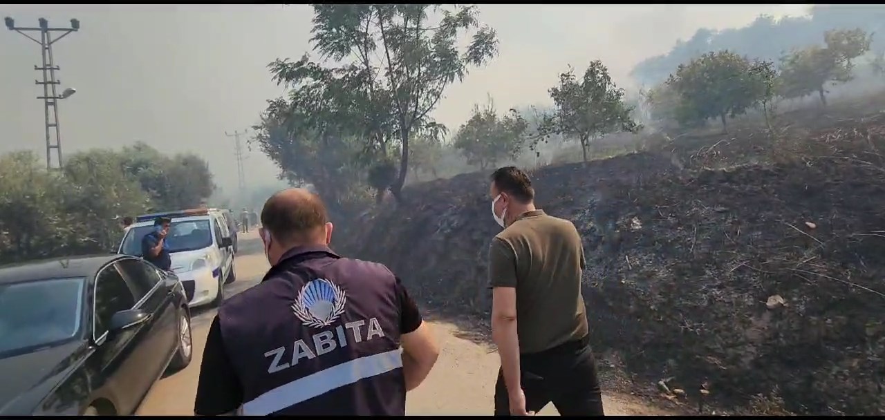 Whatsapp Video 2024 07 13 At 17.28.11.Mp4 Snapshot 00.13.154