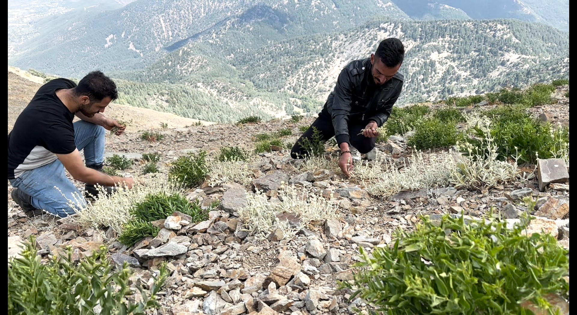 Yayla Çayı Montaj.mov Snapshot 04.43.881