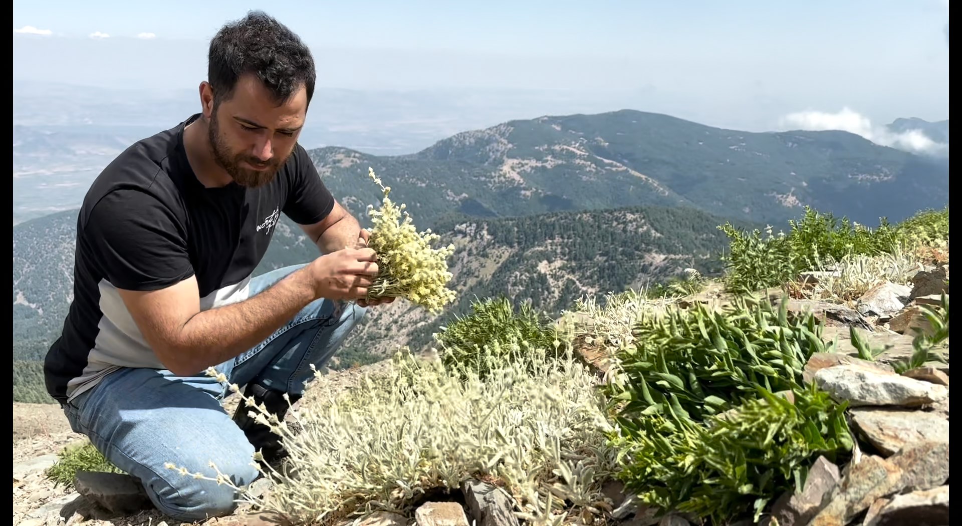 Yayla Çayı Montaj.mov Snapshot 04.51.201