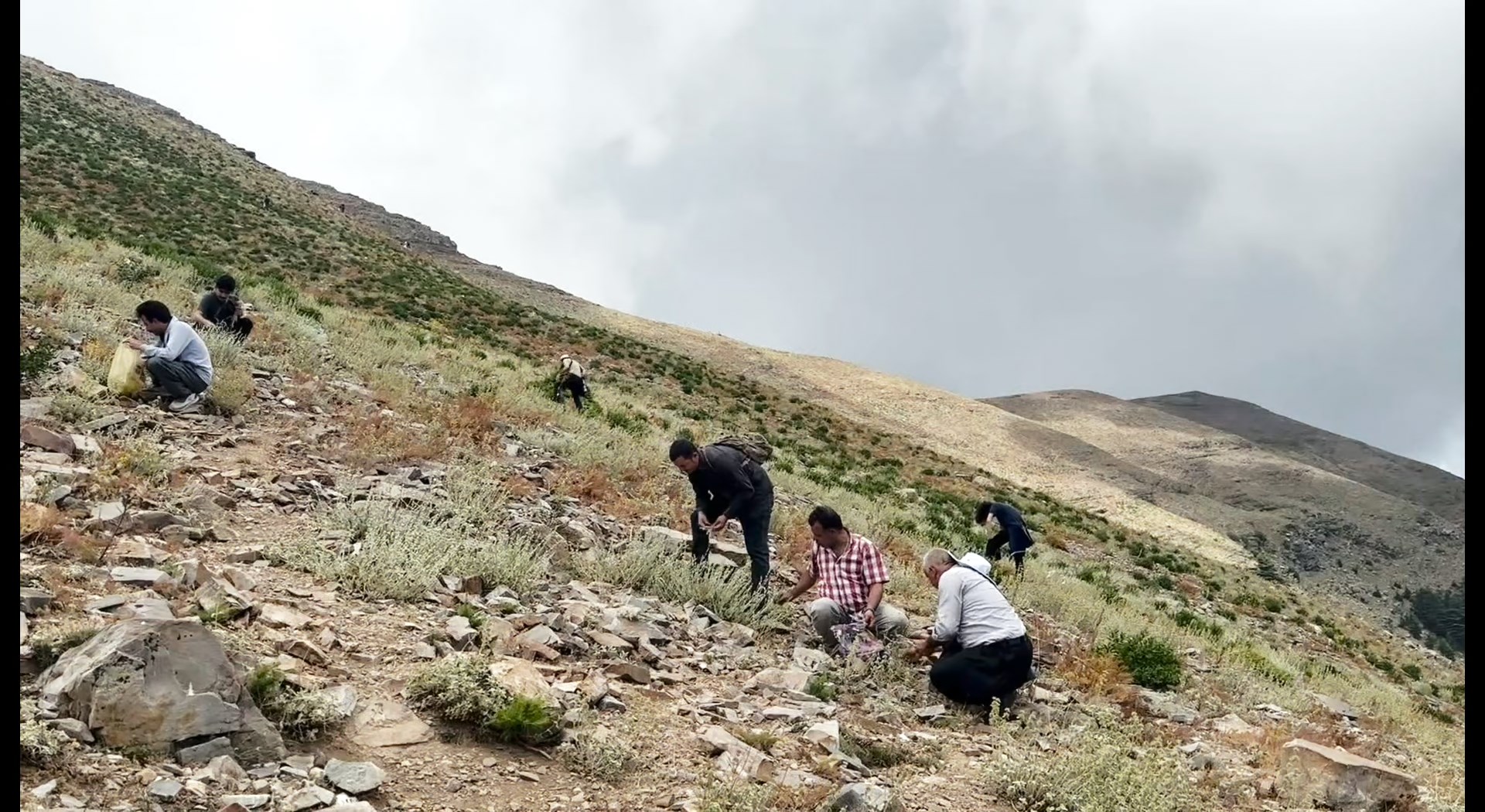 Yayla Çayı Montaj.mov Snapshot 07.22.136