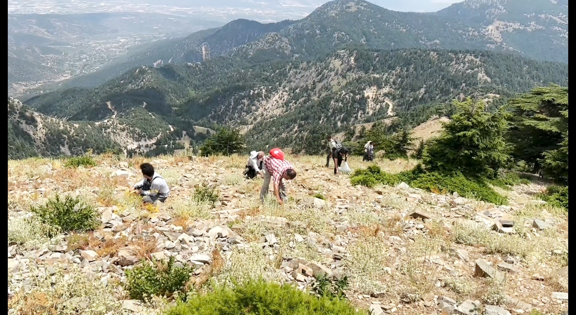 Yayla Çayı Montaj.mov Snapshot 07.35.783
