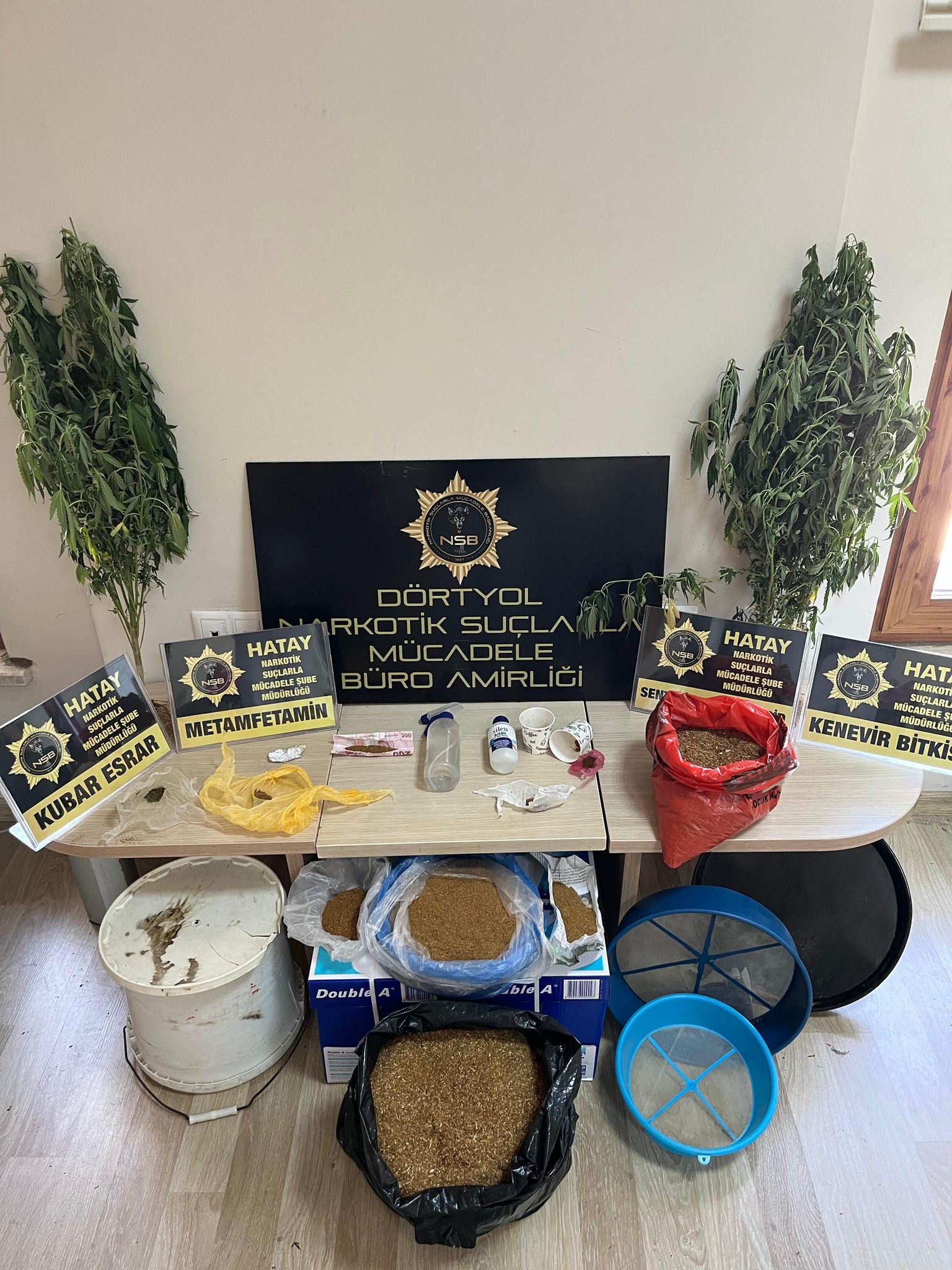 8Ccc0C31 De20 4224 9440 9973D6774B90