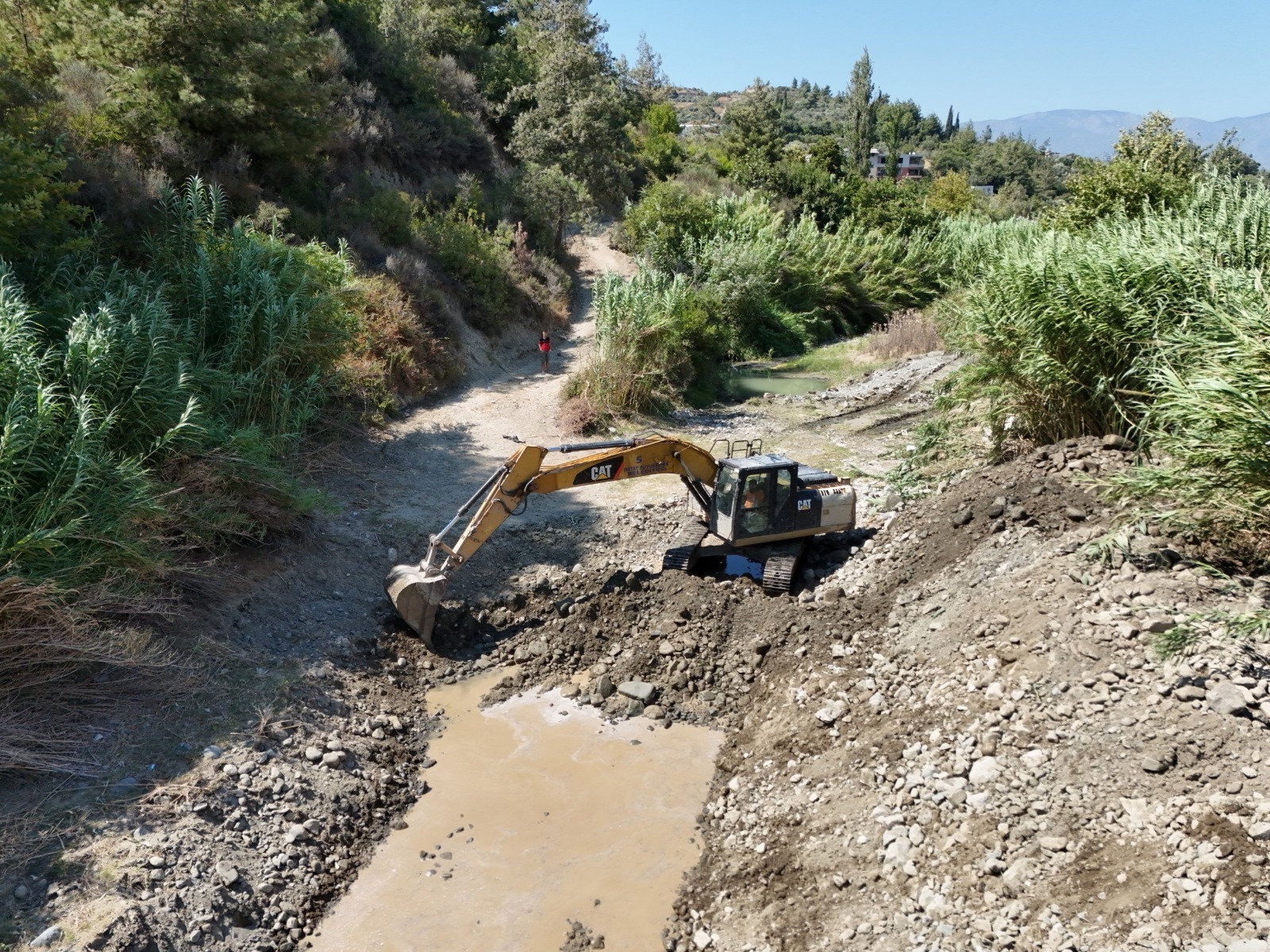 D74D9Cb6 E57E 4Af0 Ad5C 45E403045B8D