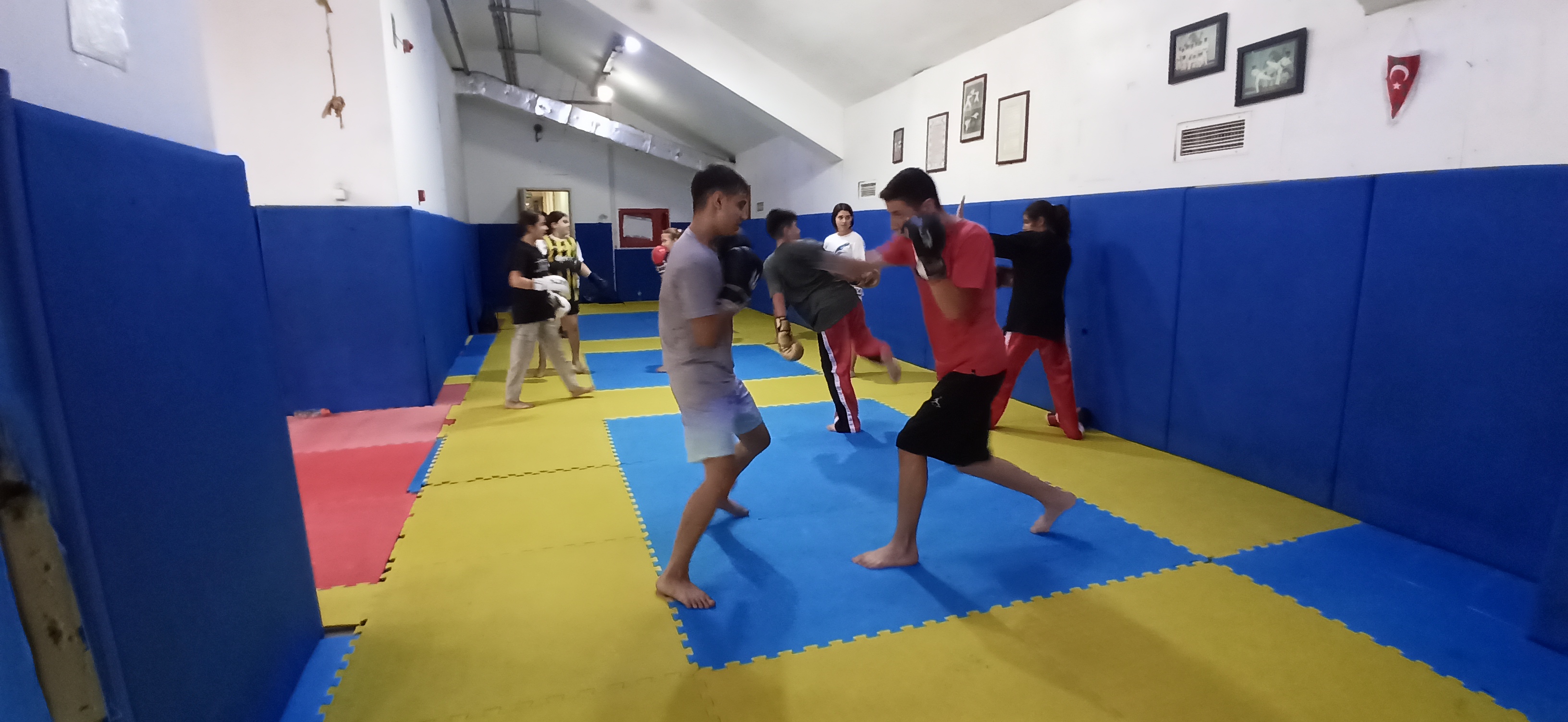 I M G 20240807 104750