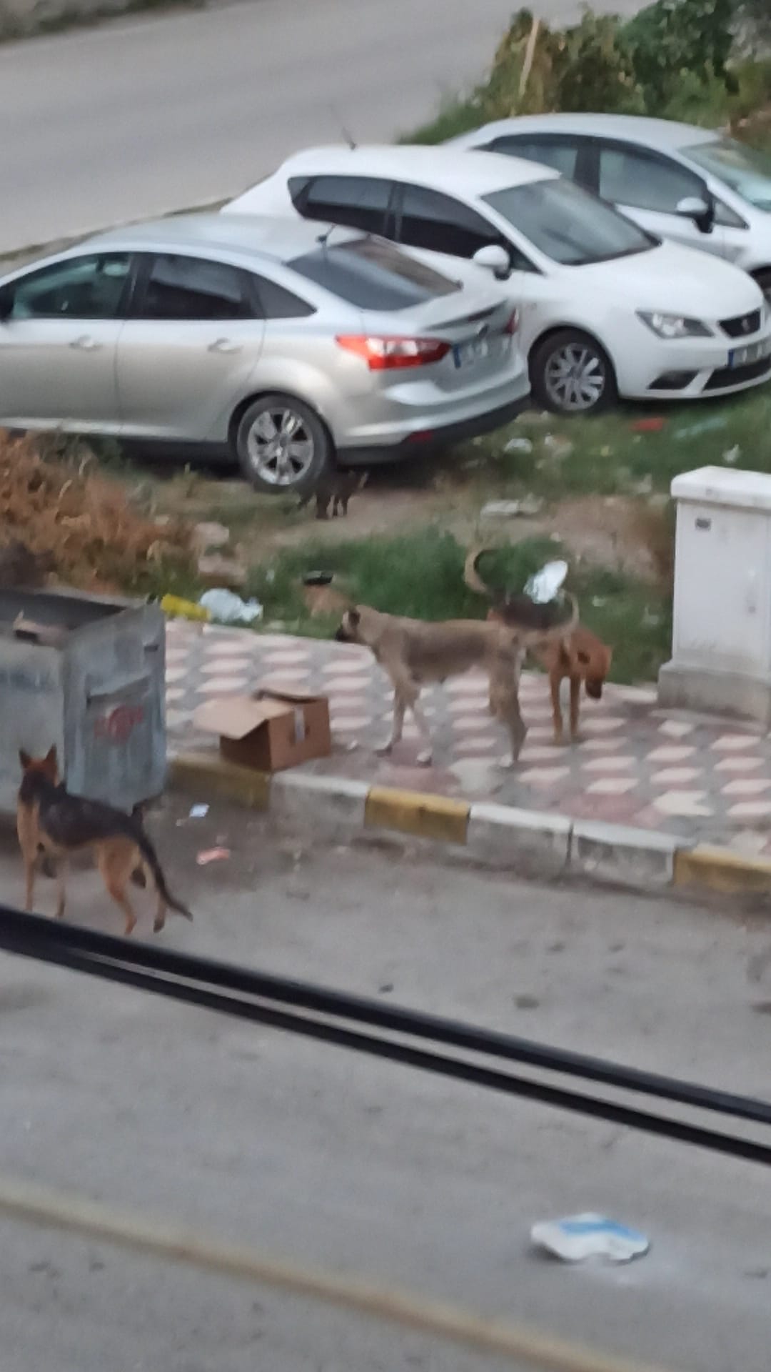 02Ef4821 5851 4F7F B2Db 2C118Eb00D68