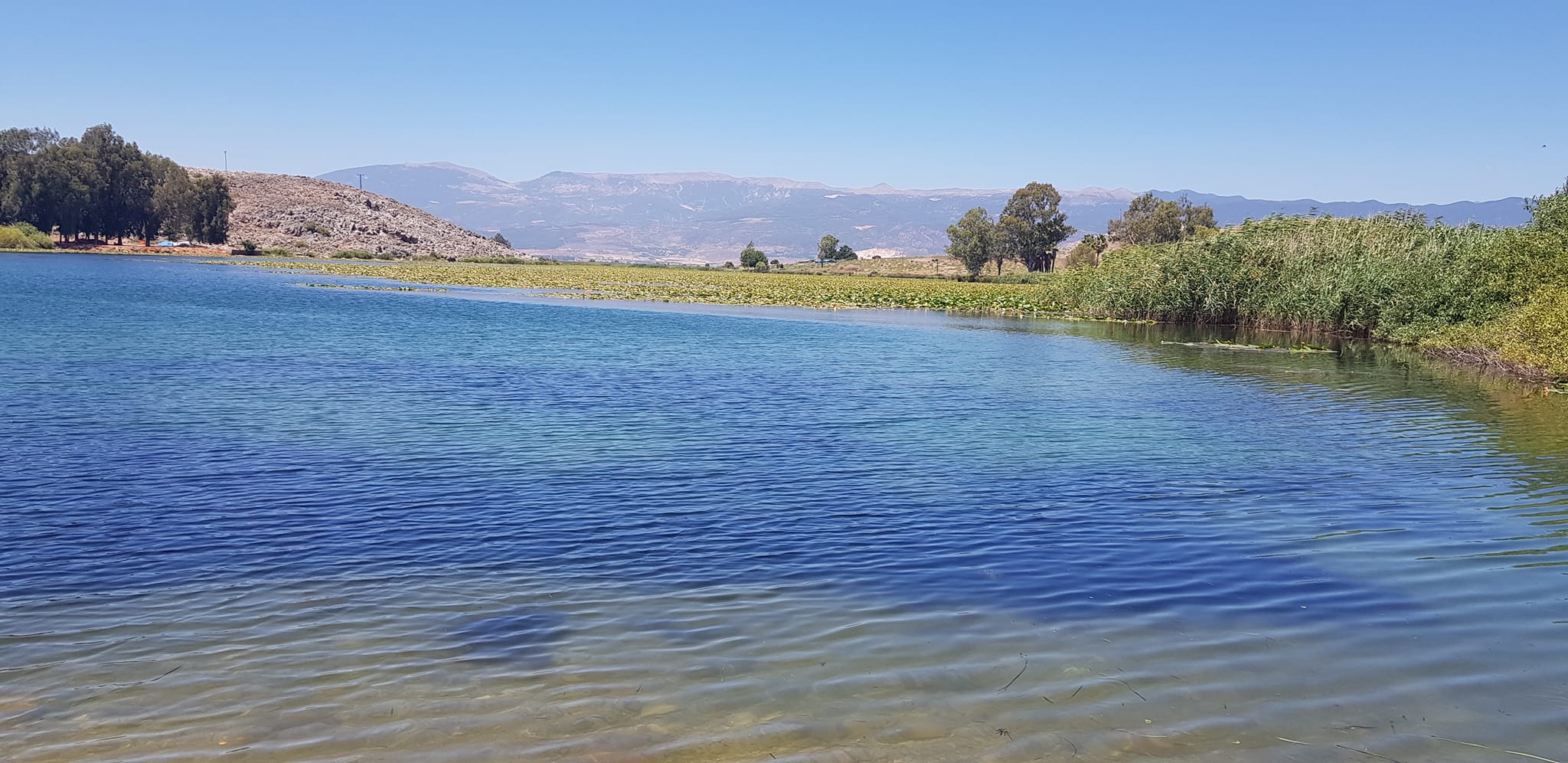 295813054 2360880244076336 1553702078920274799 N