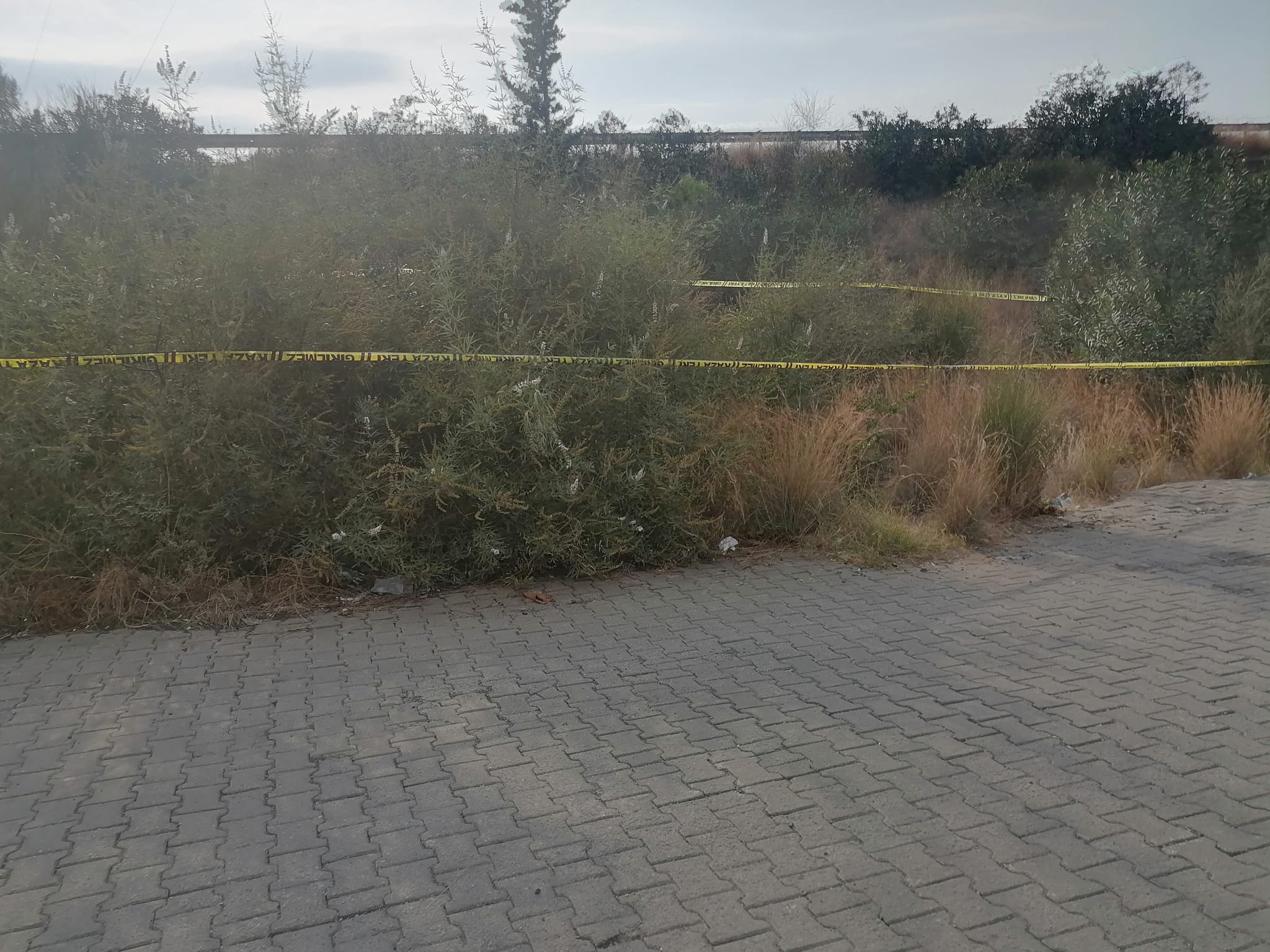 457032999 10161586243648996 5437909180641270871 N