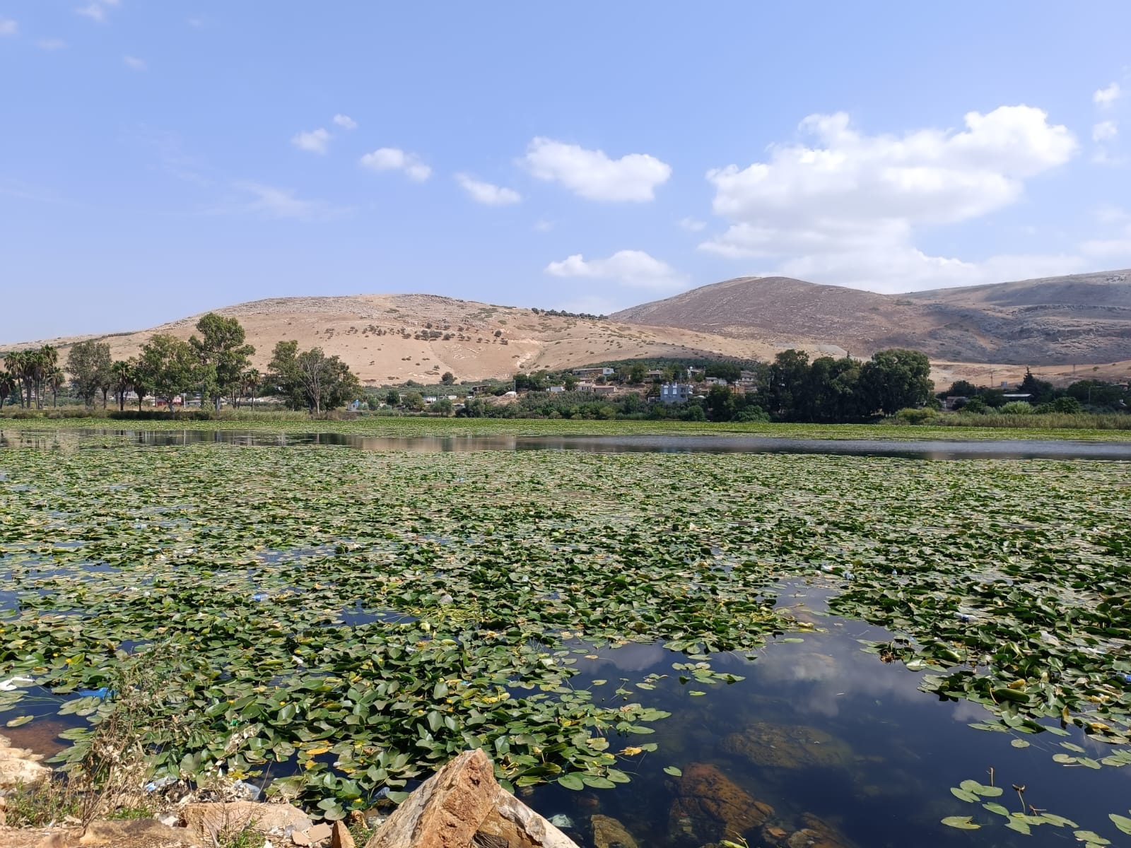 457510414 10234613665948922 7886507782760916709 N