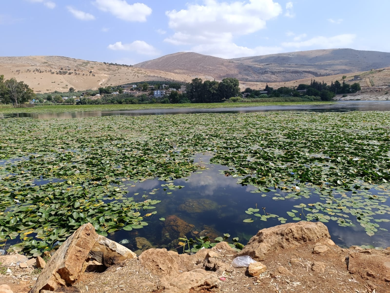 458199649 10234613666708941 1087928949582033800 N