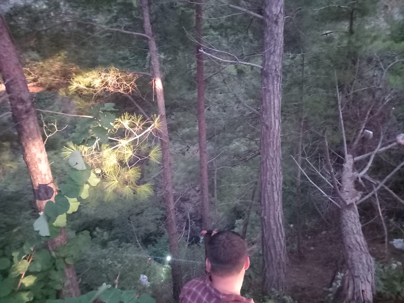 75F60F3E B795 475C 8F16 33B2B64Bd86C