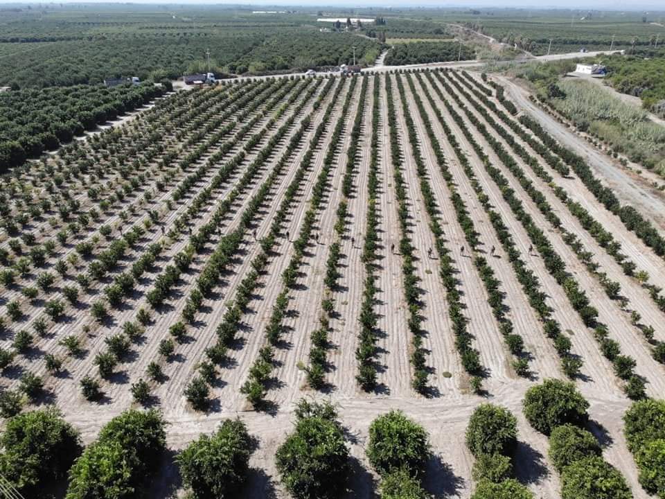 B931Cb85 Bb97 4A20 B21E 8Bcb9Fb1Bdee