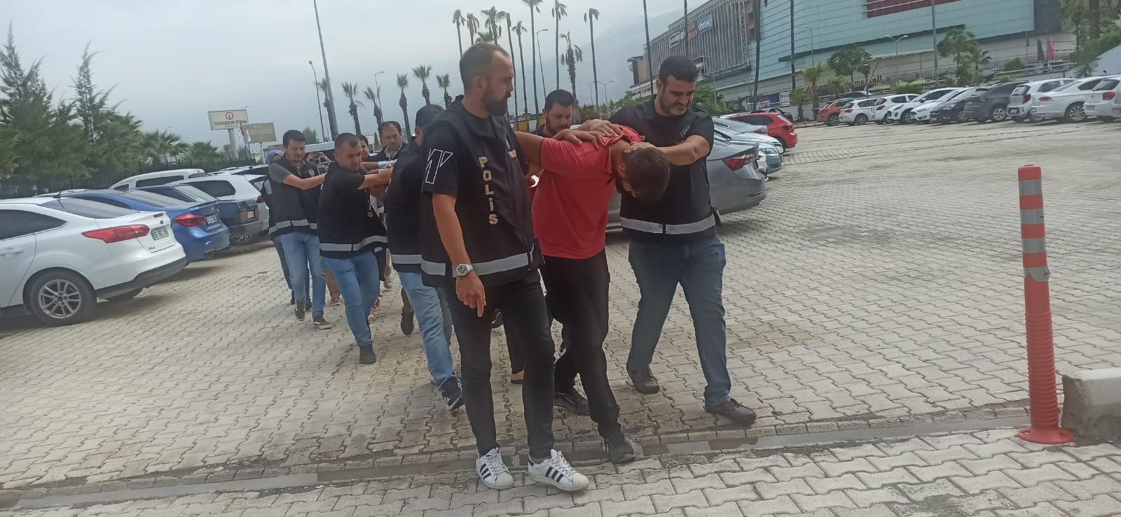 C8728D76 885D 4Cbb 930D 789Eecec00A7-1