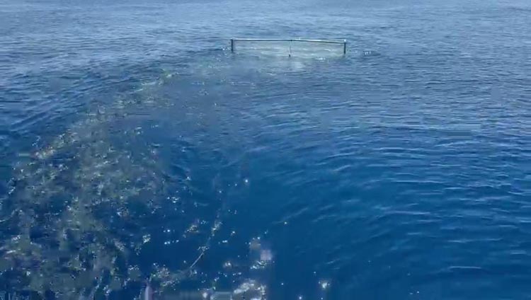 Denizi Arastiriyorlar 1