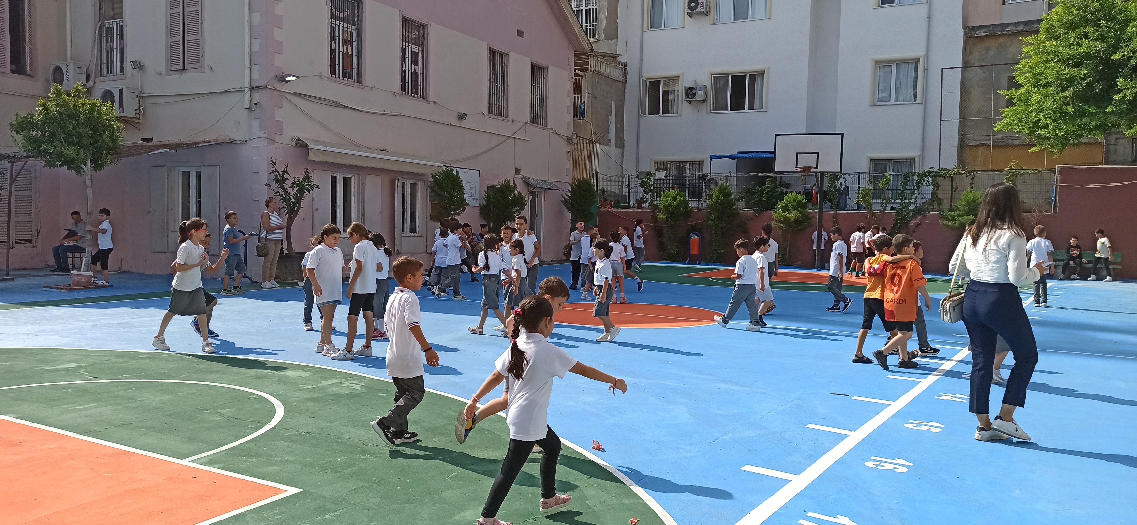 I M G 20240909 095244