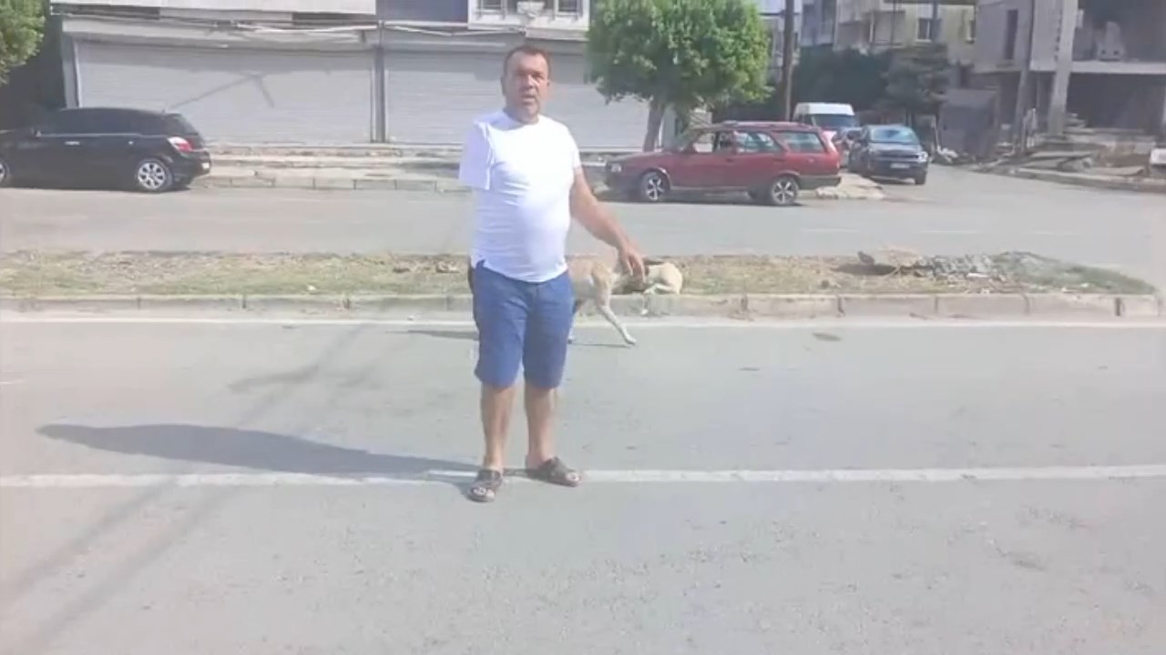 Sokak Kopekleri.mp4 Snapshot 00.04.919