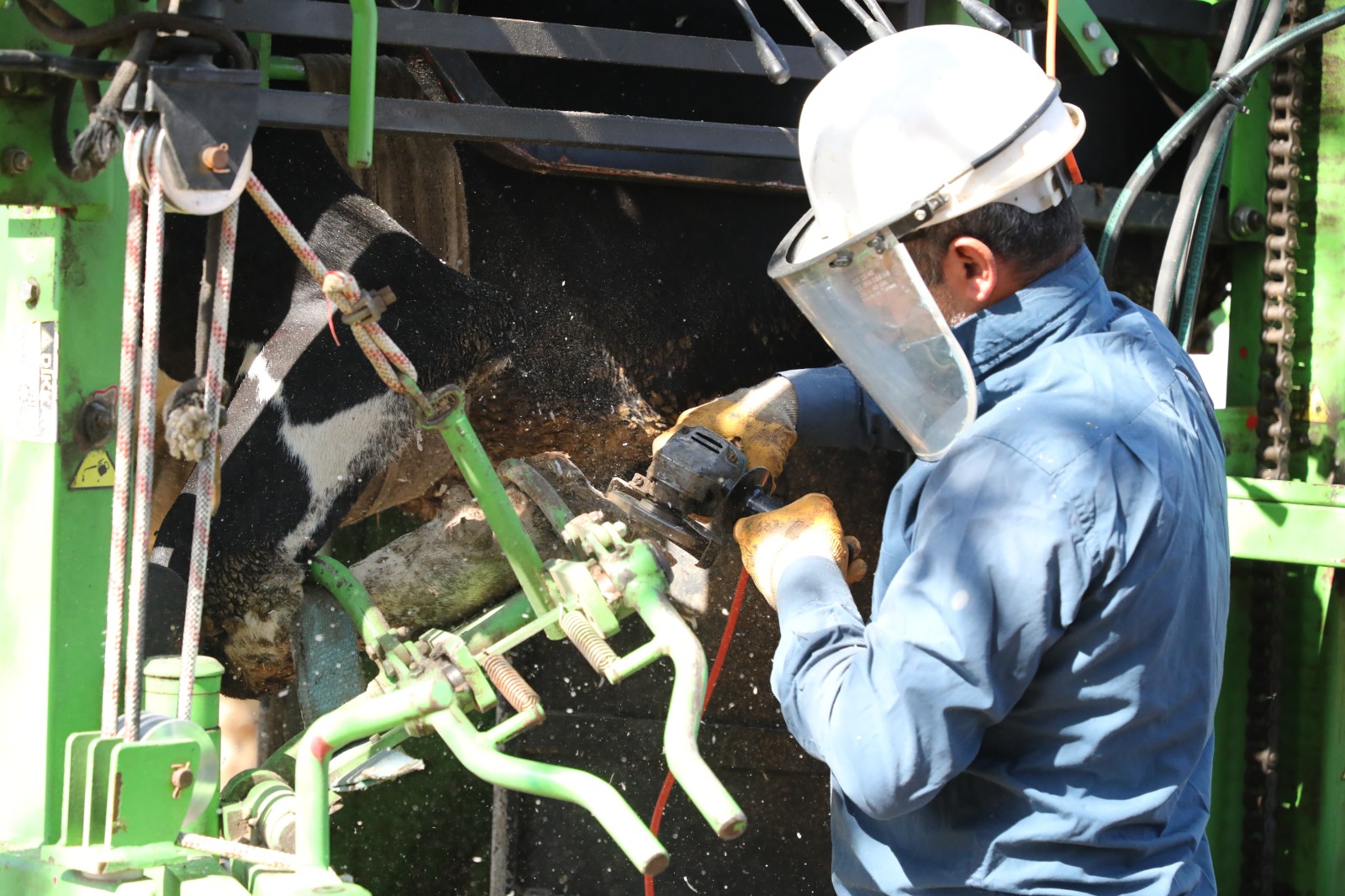 0Aaca92B E914 4E3A 8B48 546441A0F7C4