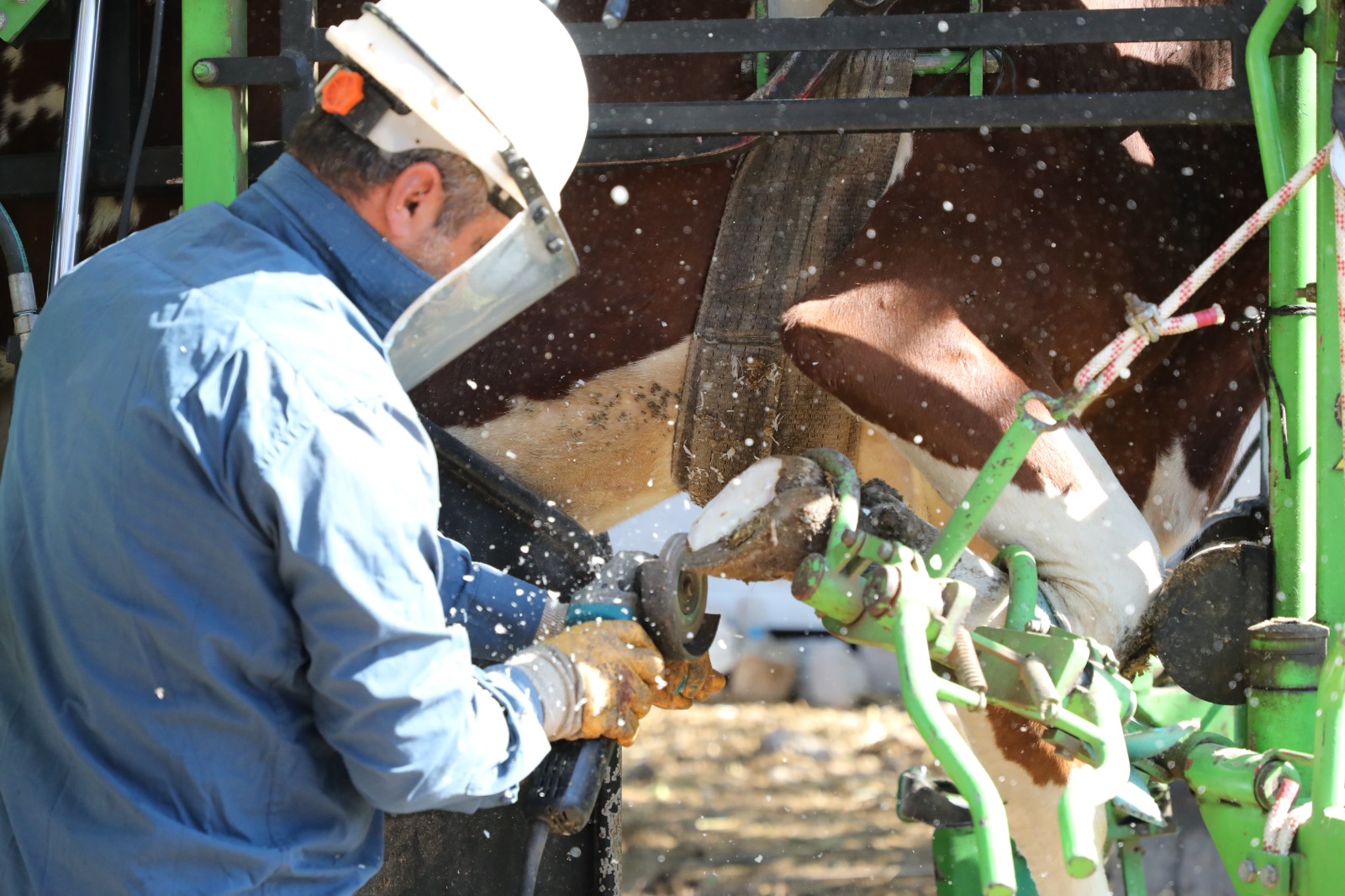 3Fa64D27 871B 4E21 8F52 01E3C2Ced1Ad