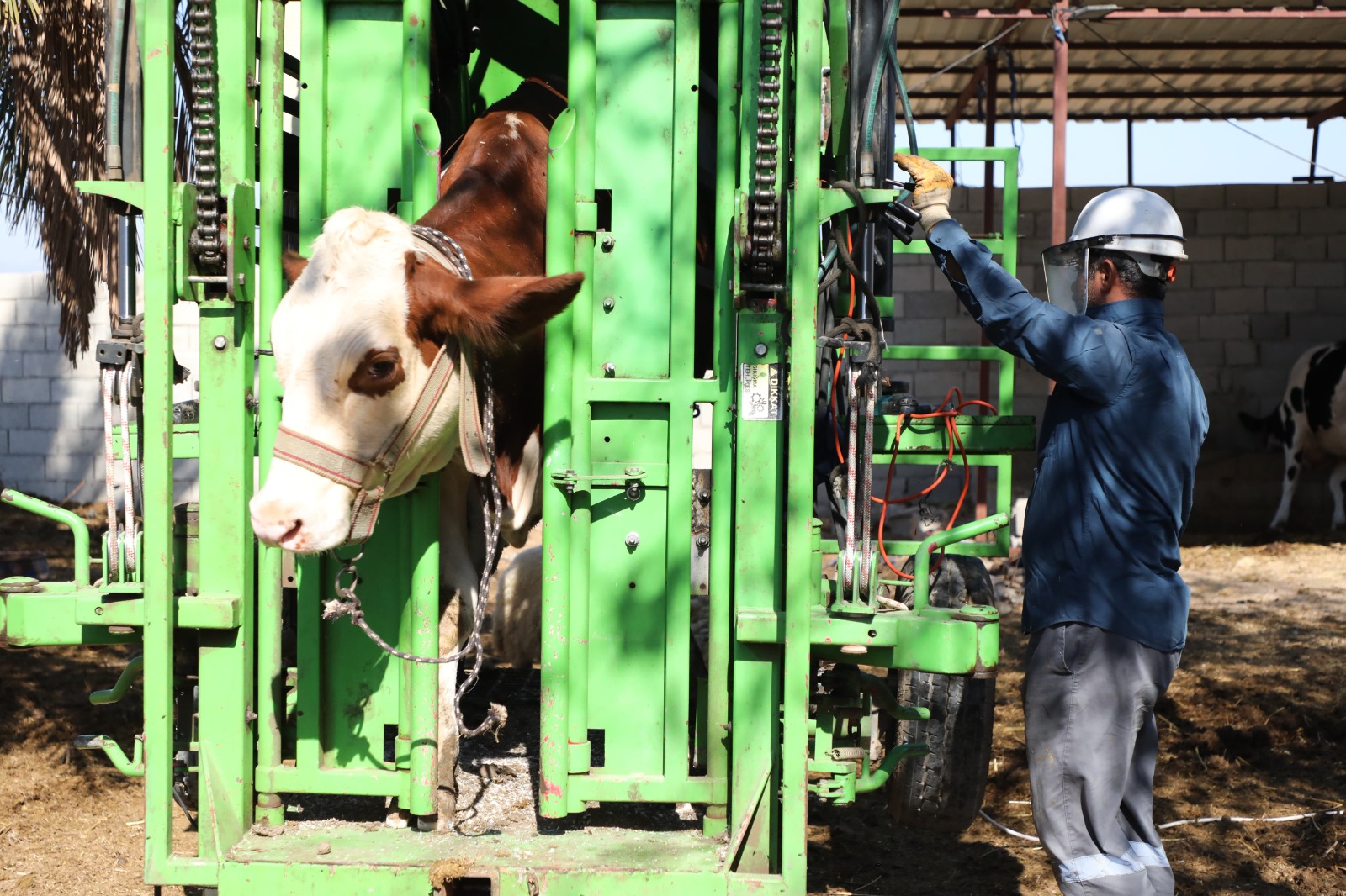 7179456D 7584 48A5 824E Cf3Def4F1031