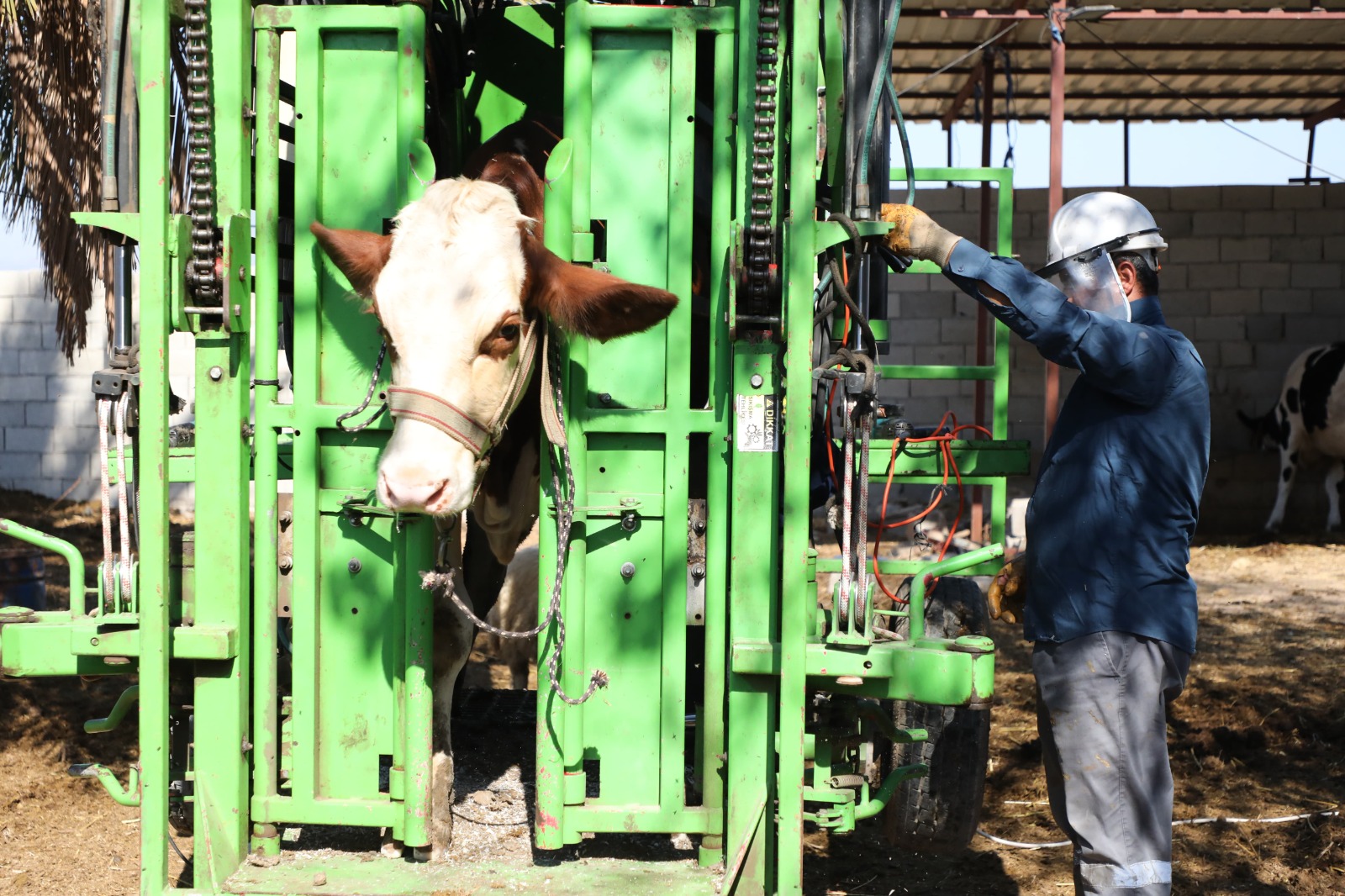 A07C31A4 E899 428E 98Cb A889Aa18D02F