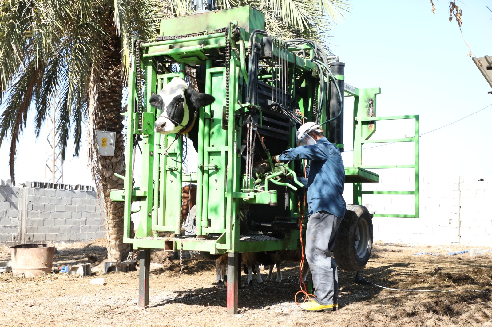 A8217Cbb 2Dfe 4615 93Cc 63B879C86333