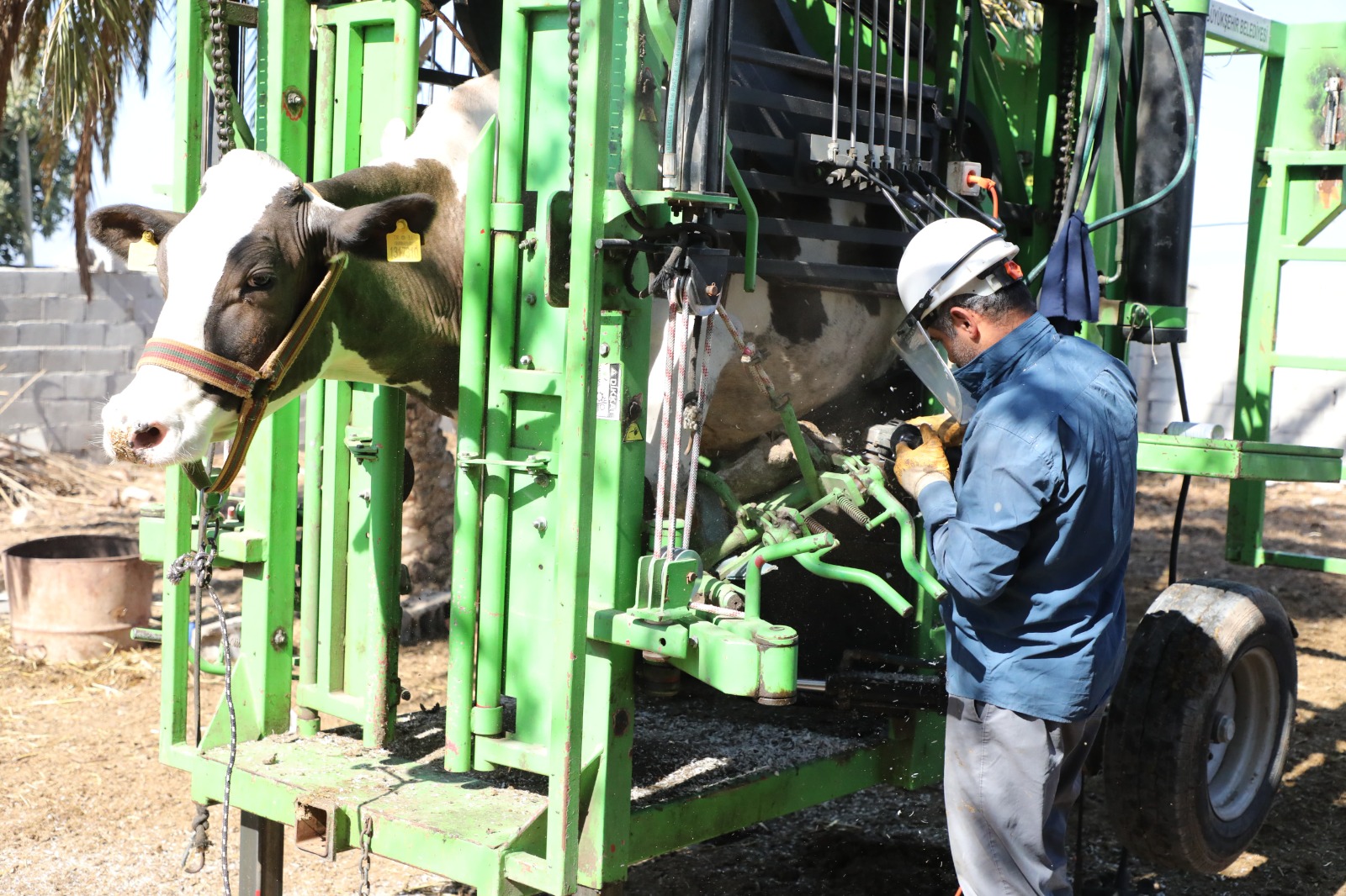 Aa1B0E00 B2B1 42B5 Bd93 4Bc24D411Fa1