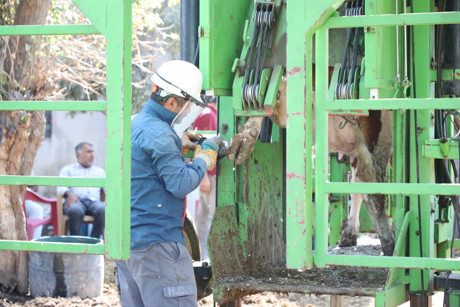 C8A8Cb08 6F38 486B Acfc E3C698Da03D5