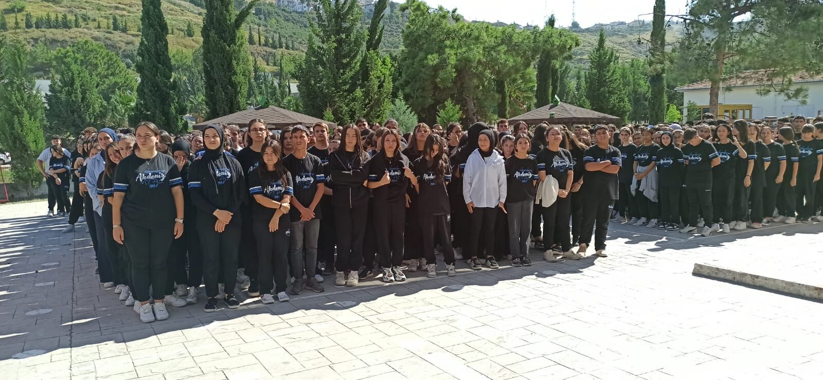 D288C45B F2D2 4Dcd Bae9 Ea43A45764B6