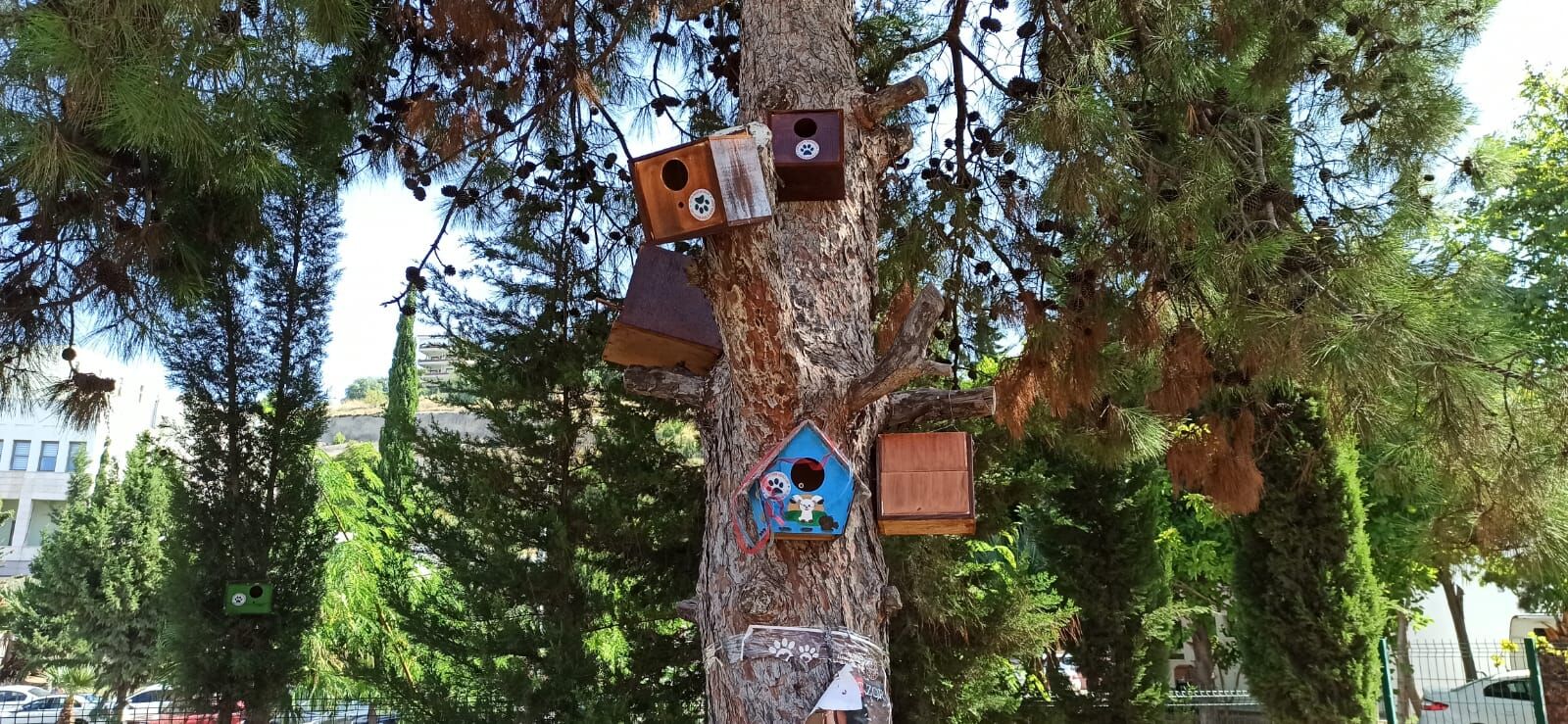 D8Ca7678 0720 43D8 9D7C A2Cb678B1815