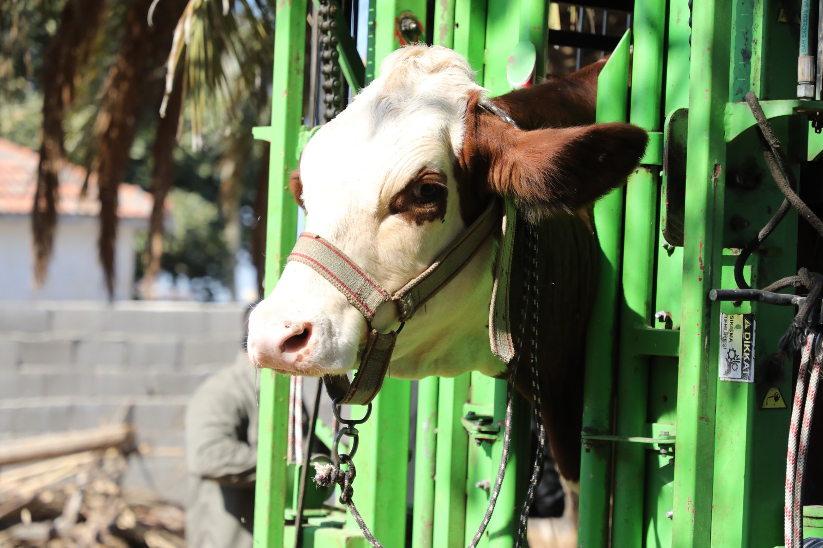 E23C04De 99A9 4Ef9 9Ec9 D1E0Fe659Fee