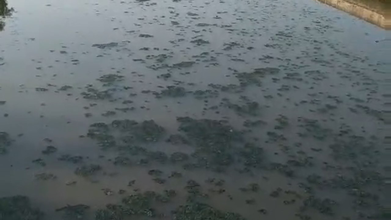 Feyezan Kanali.mp4 Snapshot 00.11.300