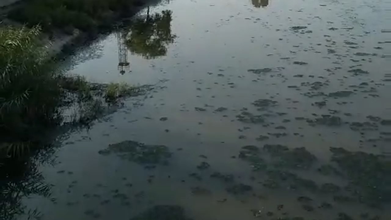 Feyezan Kanali.mp4 Snapshot 00.18.640