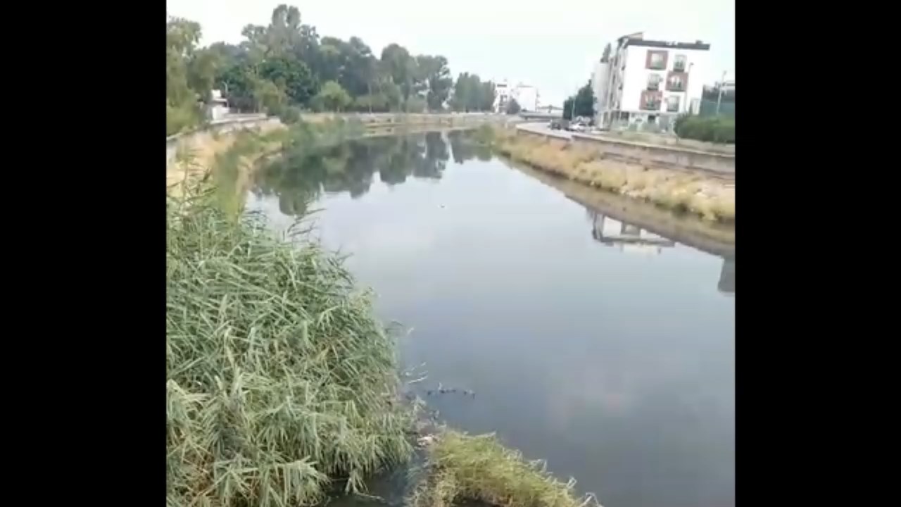 Feyezan Kanali.mp4 Snapshot 00.51.042