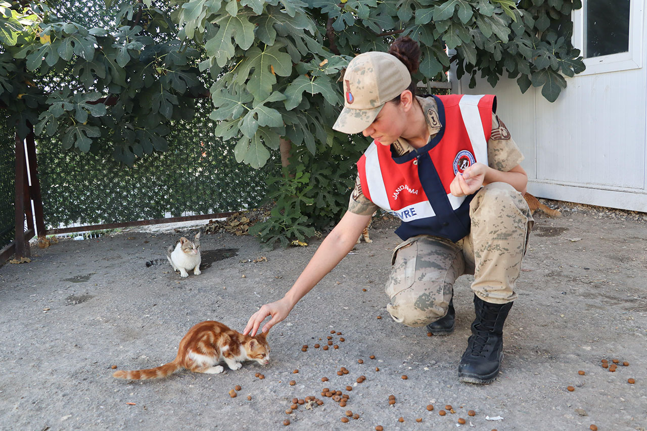 Jandarma Sessiz Canlar (1)