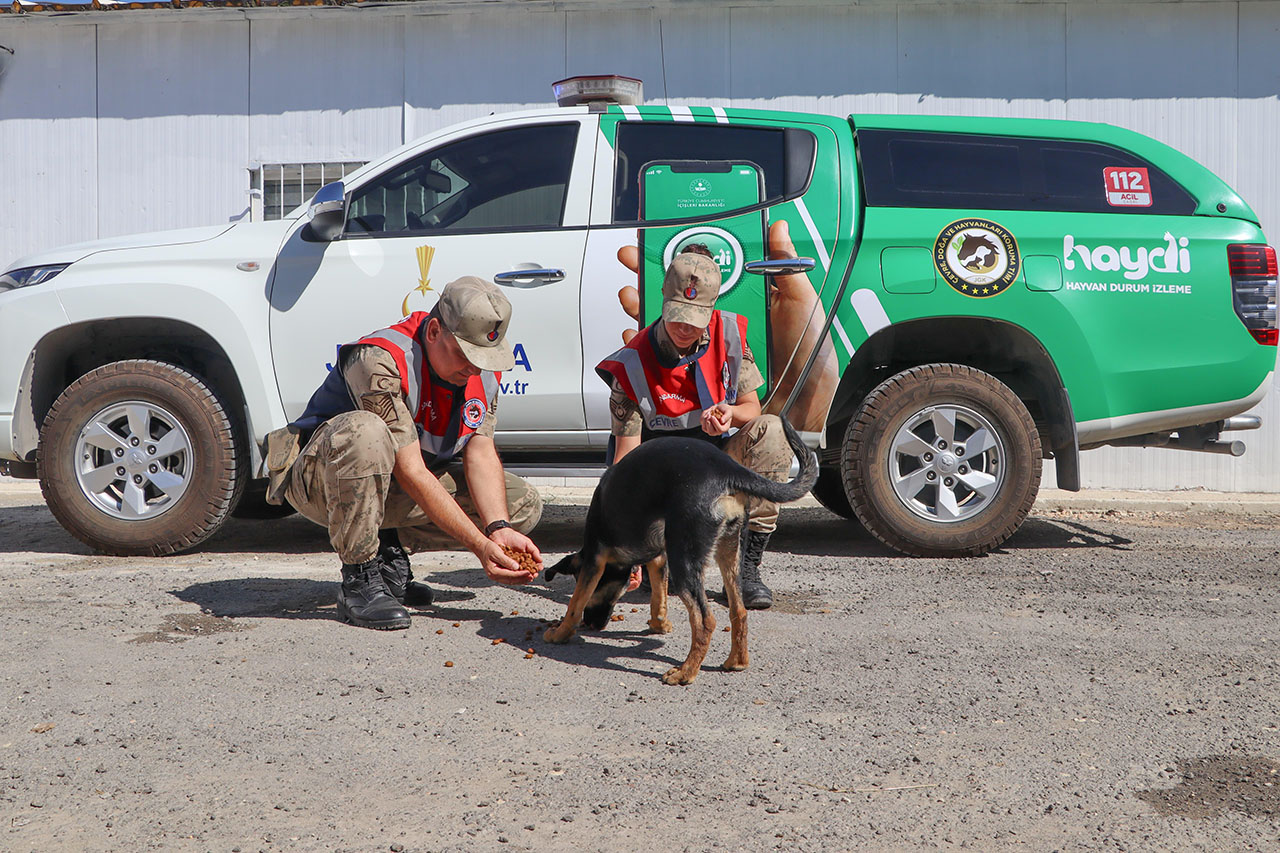 Jandarma Sessiz Canlar (3)