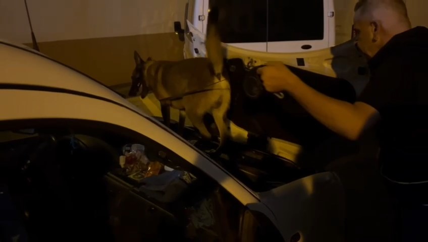 Whatsapp Video 2024 09 26 At 11.43.56.Mp4 Snapshot 00.05.682