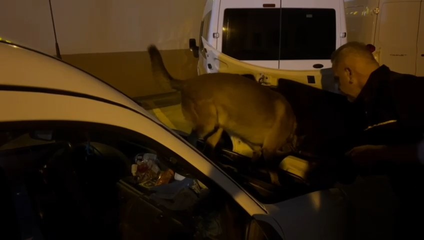 Whatsapp Video 2024 09 26 At 11.43.56.Mp4 Snapshot 00.08.557