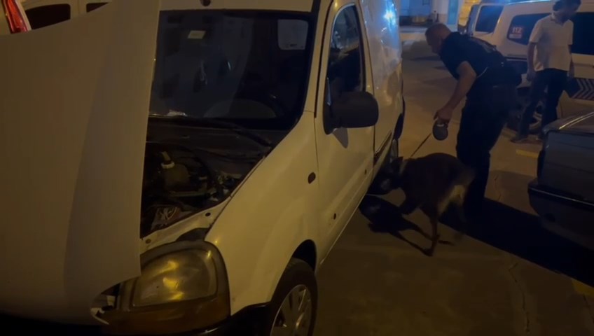 Whatsapp Video 2024 09 26 At 11.43.56.Mp4 Snapshot 00.13.528