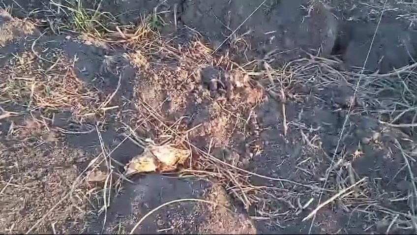 Whatsapp Video 2024 09 30 At 16.42.47.Mp4 Snapshot 00.23.172