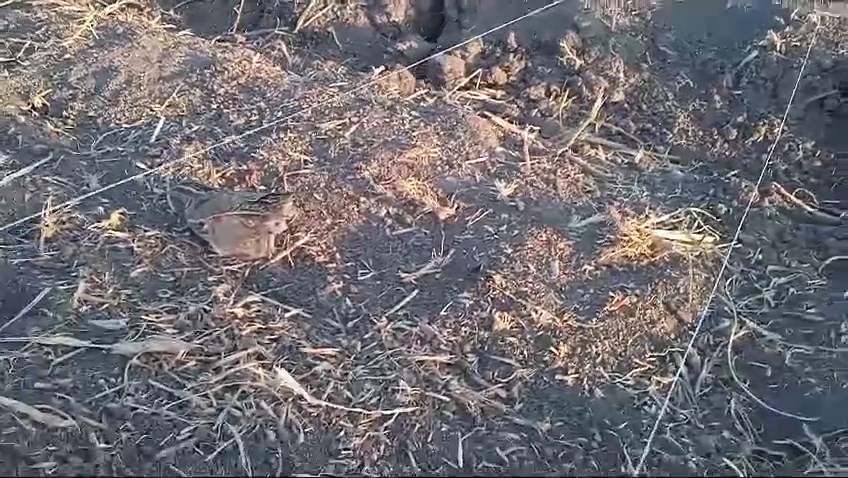 Whatsapp Video 2024 09 30 At 16.42.47.Mp4 Snapshot 00.31.077