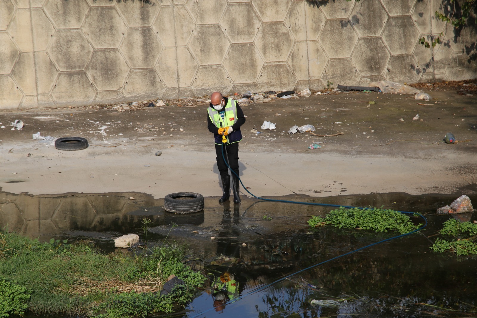 1512Fc5B Bd1D 4A01 Bdd2 89E418B5C95D