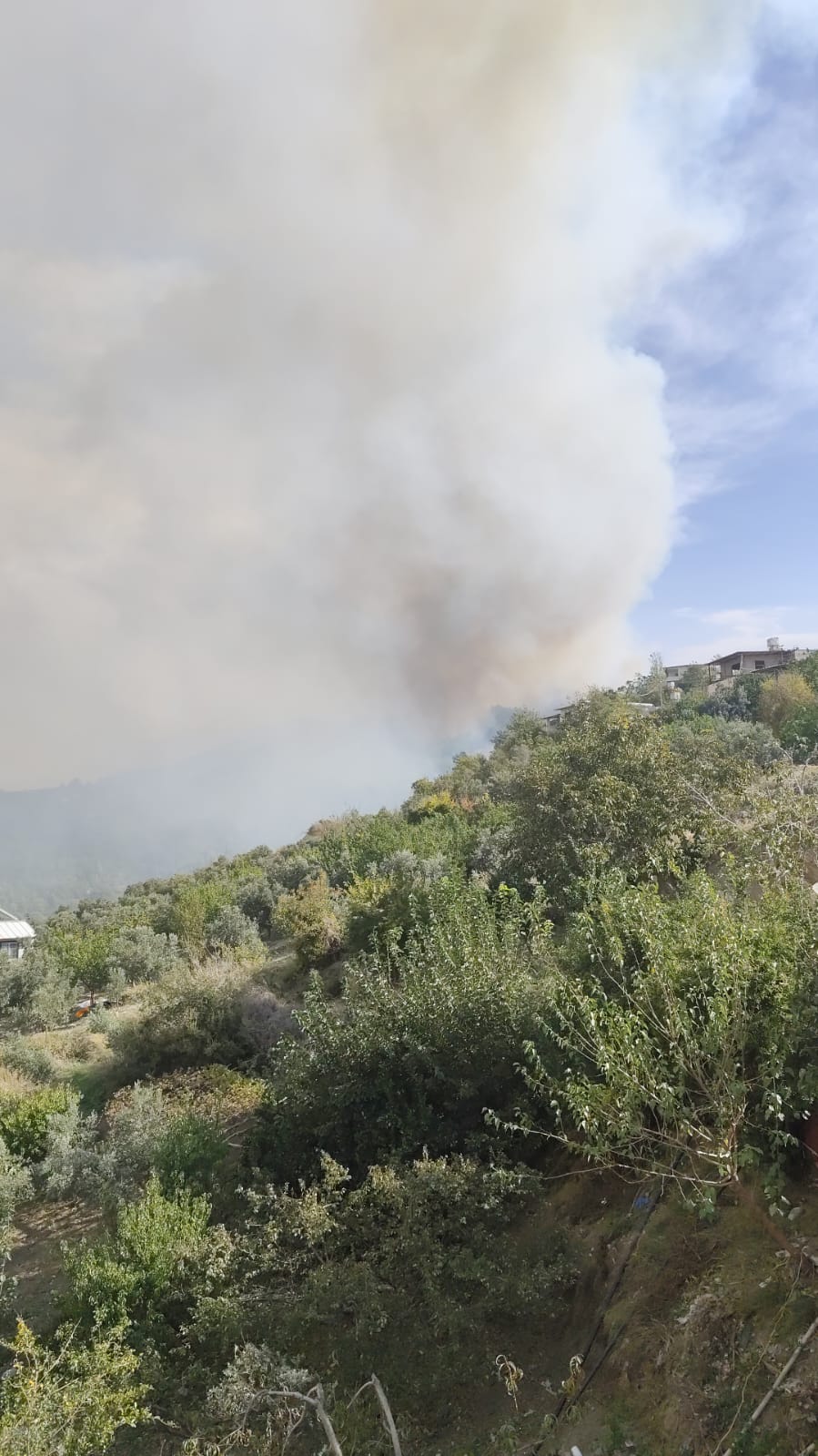 40E416Df 9Ebf 4058 A75A 5Eea4098B9A1