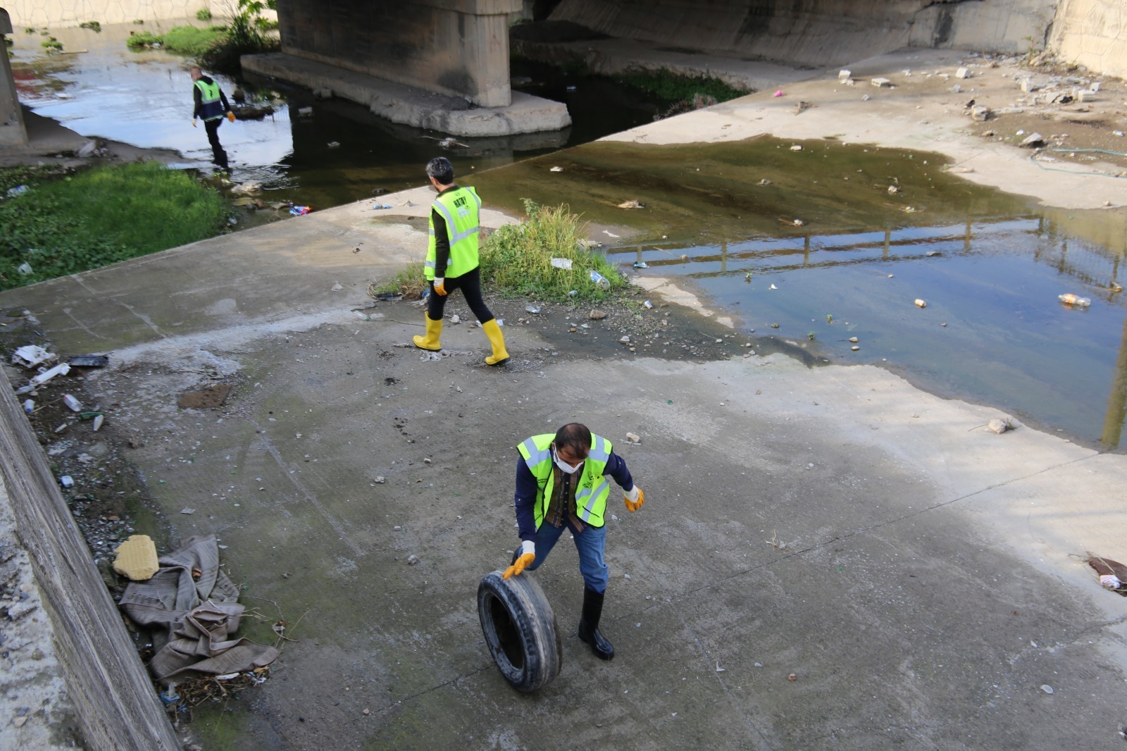 51309831 8873 4Cee 8A57 9C0Dec4371A0