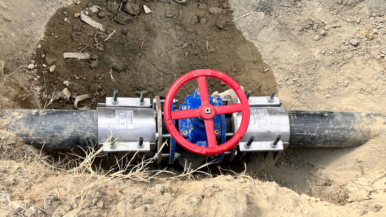 Aacb4Bf6 755A 4Acf B44A 8D45C48C2Dce