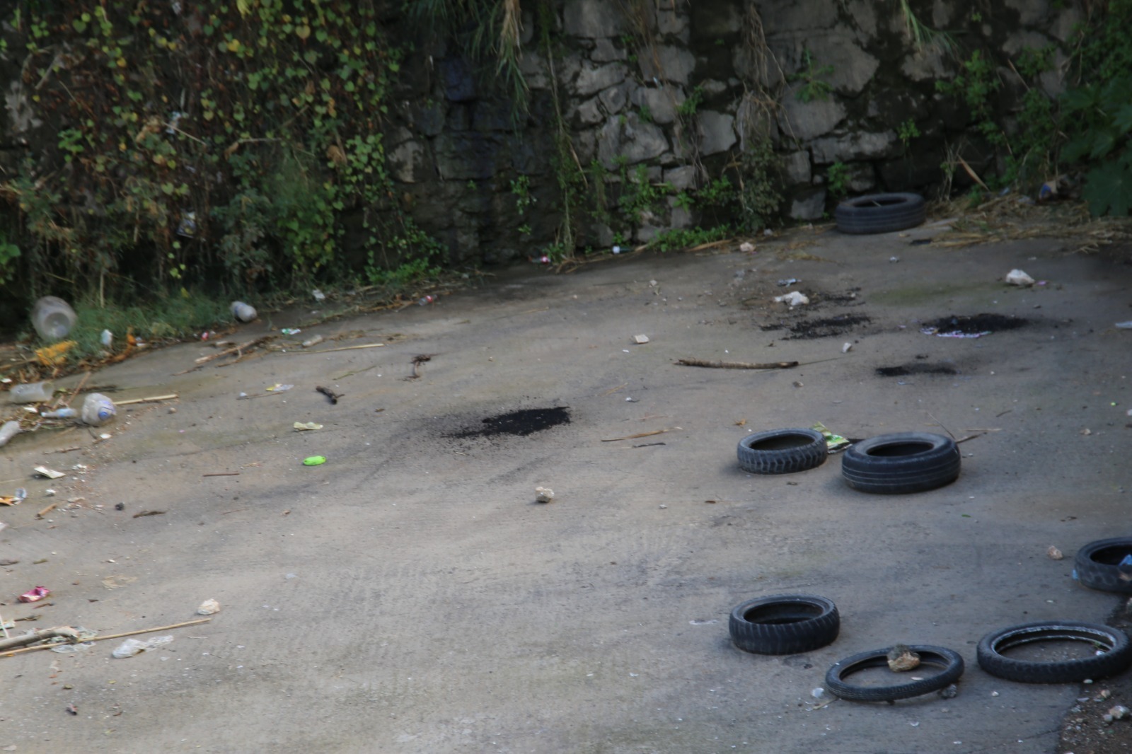 Af9Ed285 339F 4F87 8340 08A4Fd0A7C9F