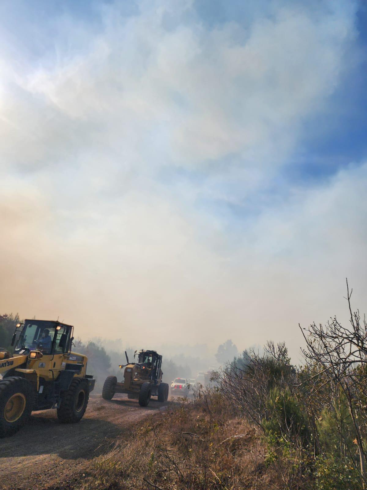 C5D59420 00D7 4935 824E 4B2Cf48A2Daa