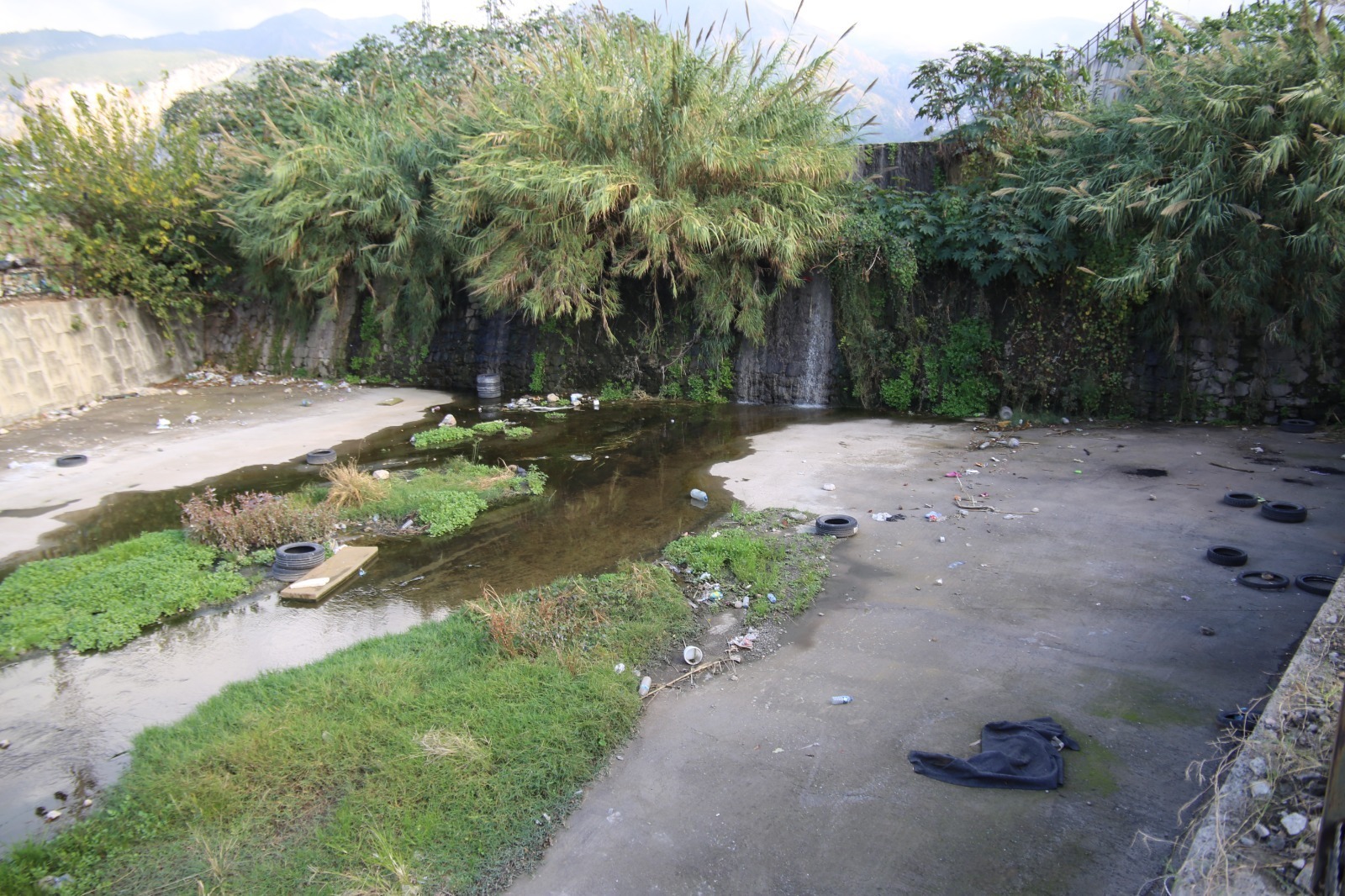 Cb1Fd34D 8970 4F6A B23A 42C17A340Dcd