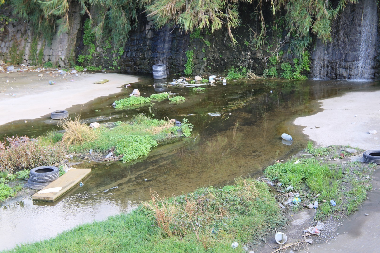 E0C84047 5A1B 43F3 A274 3E149E40066A