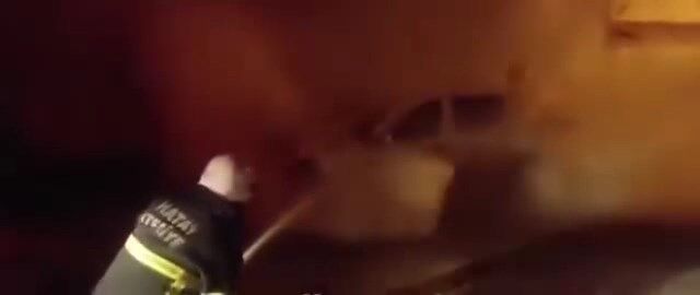 Whatsapp Video 2024 11 09 At 11.00.32.Mp4 Snapshot 00.37.707