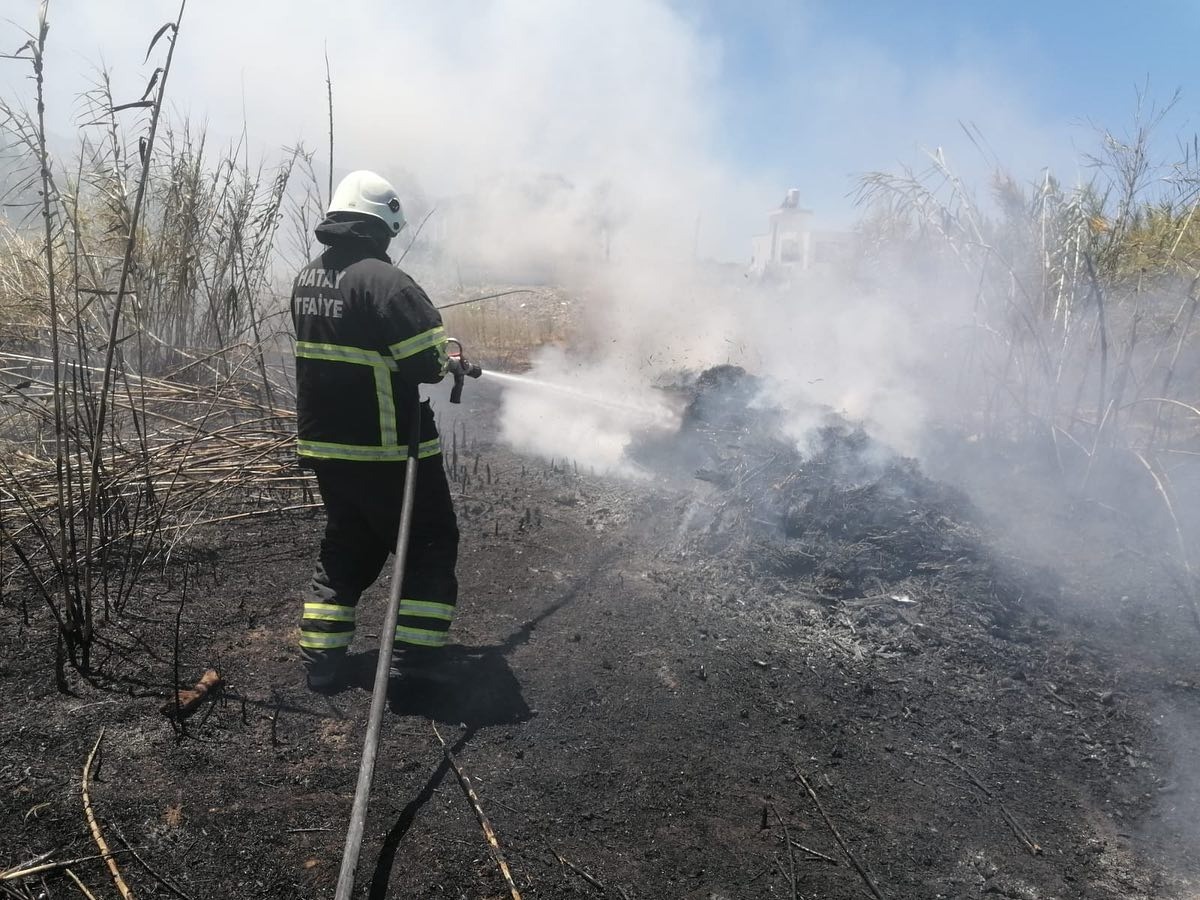 6Dec7Aa3 Ca94 4385 A9C4 A0644Ad357Cb