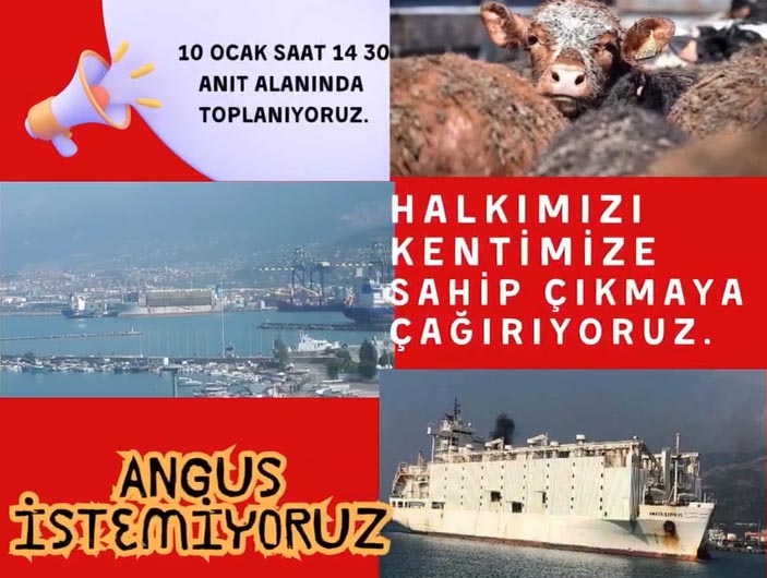 Limak A Yuruyus+1